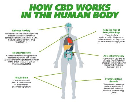 Cbd Oil Benefits Uses And Side Effects World Health Source Llc