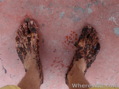 Anyone Ever Go Barefoot In The Jungle Rbarefootrunning
