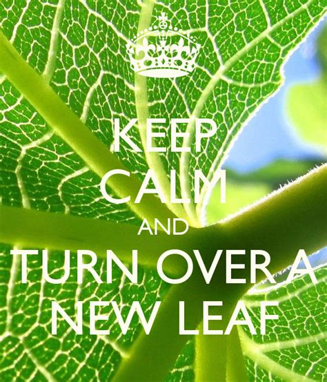 Every year he resolves to turn over a new leaf and start exercising. Lukezz Luq: keep calm