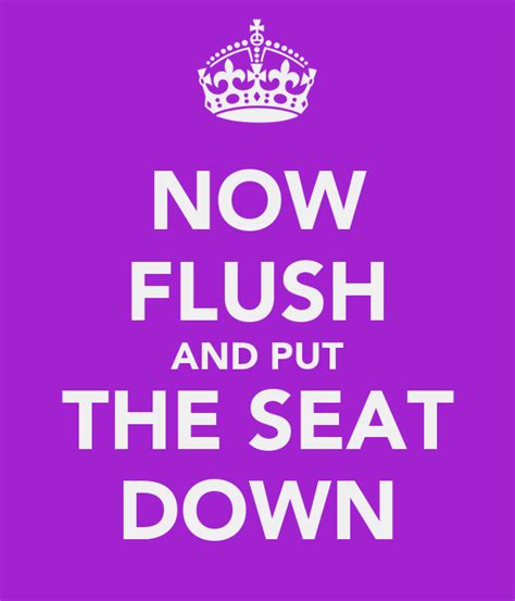 Now Flush And Put The Seat Down Keep Calm And Carry On Image Generator