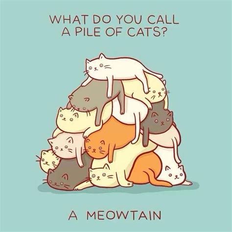 Cat Puns Cat Puns Cheesy Jokes Cat Jokes