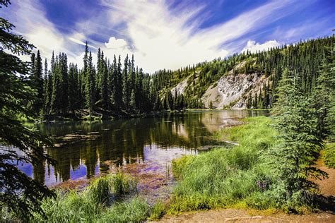 Peaceful Reflections In Alaska Photograph By Madeline Ellis Fine Art