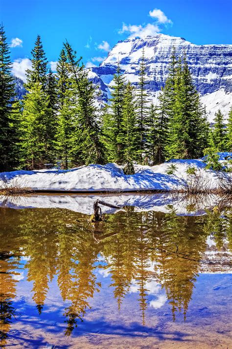 Serenity In The Mountains Photograph By Scott Prokop Fine Art America