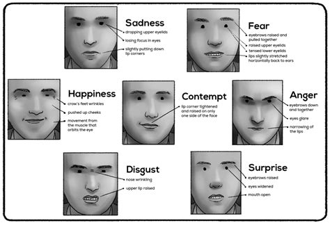 Facial Expressions Of Emotions Microexpressions Practical Psychology