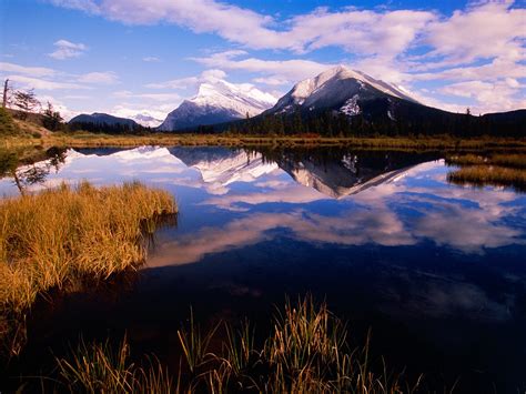 Mount Rundle From Vermillion Lakes Banff National Park Canada Picture