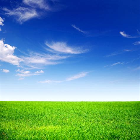 Grass And Sky Wallpapers Free Grass And Sky Backgrounds Wallpapershigh