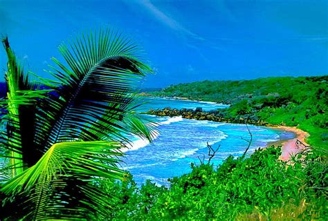 3840x2160px 4k Free Download Tropical Shore Shore Grass Travel
