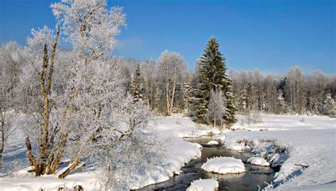 Great for beginners, intermediates and apres ski, with located on the banks of the sihlsee, einsiedeln has three drag lifts of its own, but is a short drive from the. Ungezähmte und urrtümliche Natur im Winter in Schwyz