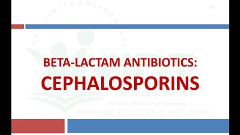 Cephalosporins Beta Lactam Antibiotics Pharmacology Cefixime