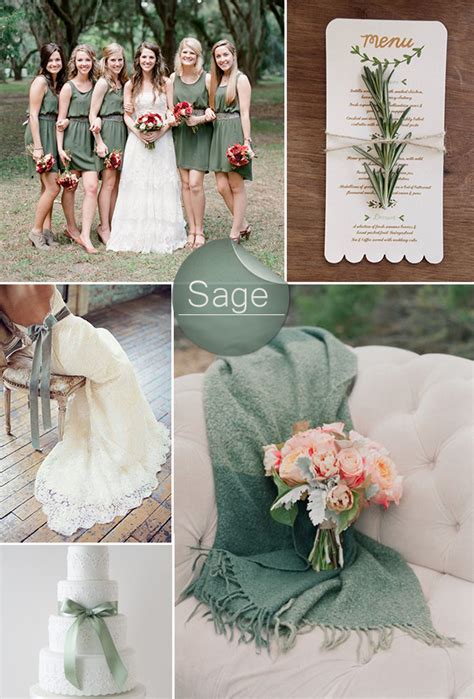 What Colors Go With Sage Green Photos