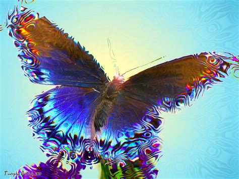 Enchanted Butterfly Third Digital Art By Tautvydas Davainis