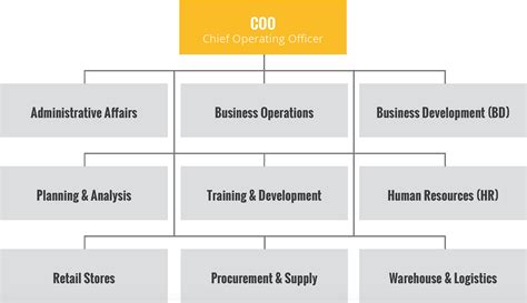 Startup Business Operations Organizational Chart — Chief Operating Officer Coo By Artem