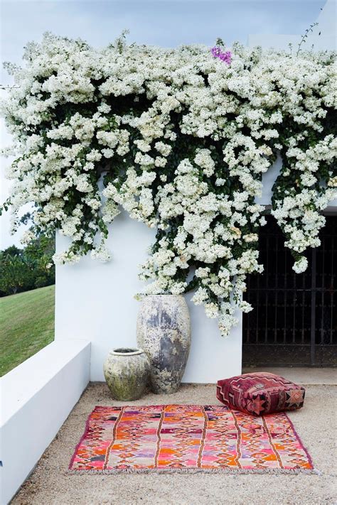 25 Bushes With White Flowers For Dazzling Garden And Home