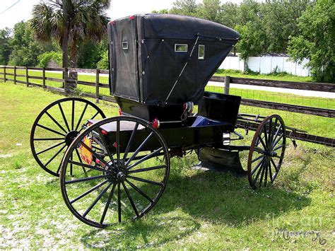 Amish Carriage Photograph By Mariarosa Rockefeller Fine Art America
