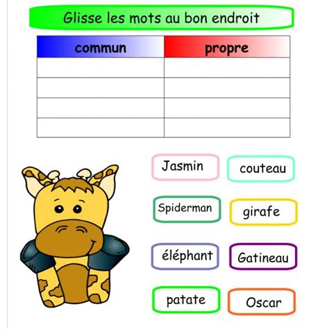 activités Notebook sur le nom commun propre français ressource