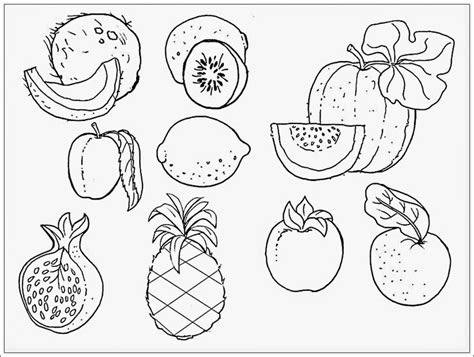 Belajar mewarnai buah buahan dengan 12 warna crayon saja#drawingbyjentik#coloringbyjentik#jentikencana#drawingcoloring#drawing #coloring. mewarnai gambar buah buahan | Buah, Warna, Gambar