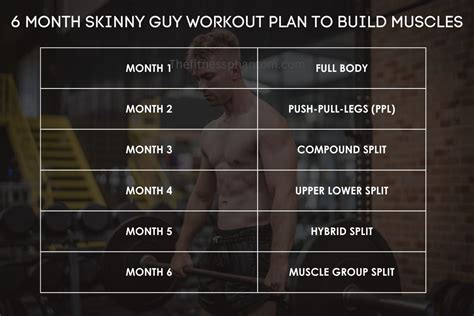 6 Month Bodybuilding Workout Plan For Skinny Guys With Pdf