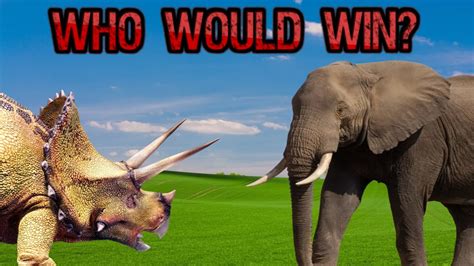 Elephant Vs Triceratops Who Would Win Youtube