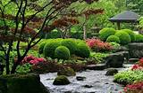 Japanese Pool Landscaping