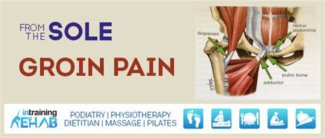 Groin Pain And Strains Intraining Running Centre