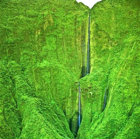 Honokohau Falls Are Probably The Tallest Falls In The Location This