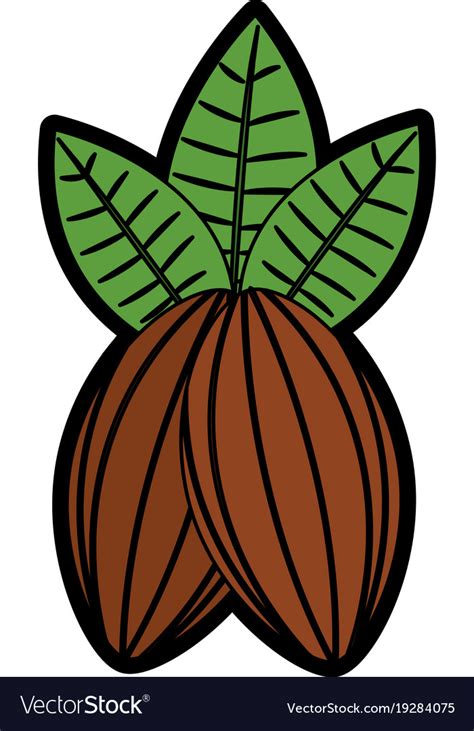 Cacao Fruit Chocolate Icon Image Royalty Free Vector Image