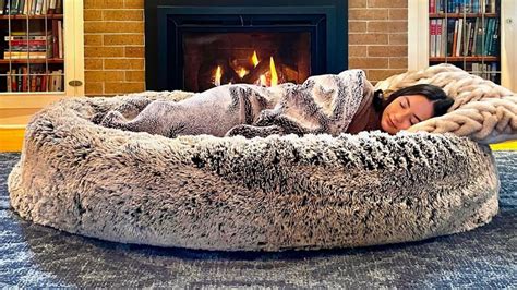 Worlds First Human Dog Bed Is A Dream Come True For Jealous Pet Owners