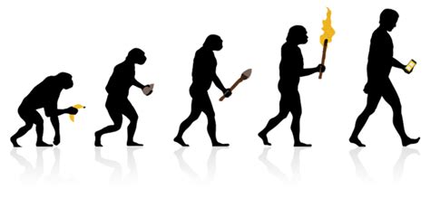 La Evolución Humana Timeline Timetoast Timelines