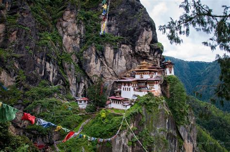 Runaway Photo Paro Taktsang The Tiger S Nest Monastery In Bhutan