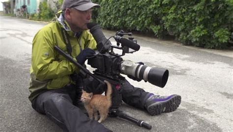 Japanese Wildlife Photographer Travels The Globe To Film Cats Of The
