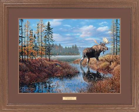 jim kasper great northern art open edition framed art print the prize wild wings new releases