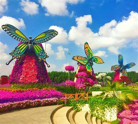 I love the unique bugs and insects, beautiful butterflies, turtles , parrots, macaw birds, flamingo, iguana and koi! Butterfly Windmills | Dubai Miracle Garden