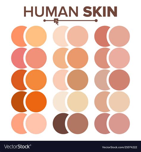 Skin Tone Chart Skin Tone Chart Skin Color Chart Human Skin Color