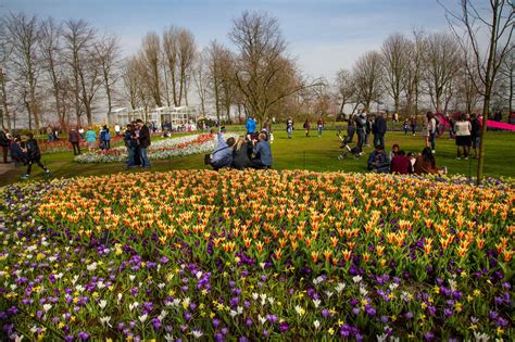 April Keukenhof Photography And Photoshoots