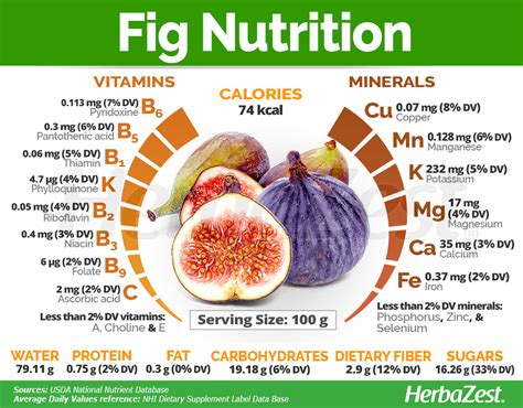 Figs Are Not Only Highly Nutritious Fruit But They Also Benefit The
