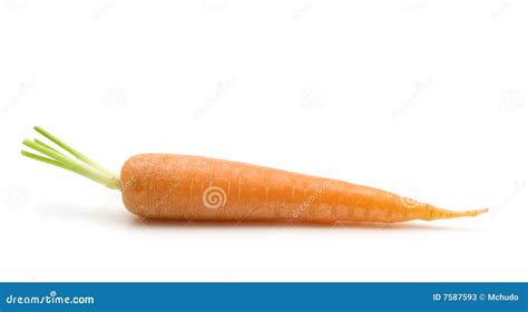 One Carrot Stock Photos Image 7587593