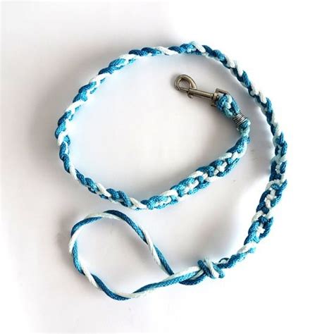 Make A Nice Braided Leash For Your Dog Dogs Diy Projects Animal