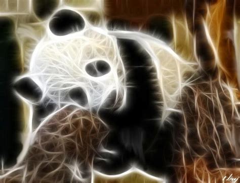 Fractal Animals Panda Bears Wallpaper Bear Wallpaper Lion Sculpture