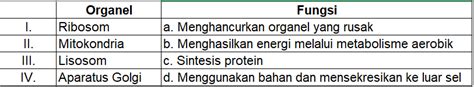 Tabel Berikut Menunjukkan Organel Dan Fungsi Organ