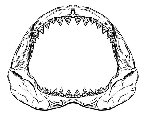Jaw Png 10 Free Cliparts Download Images On Clipground 2023