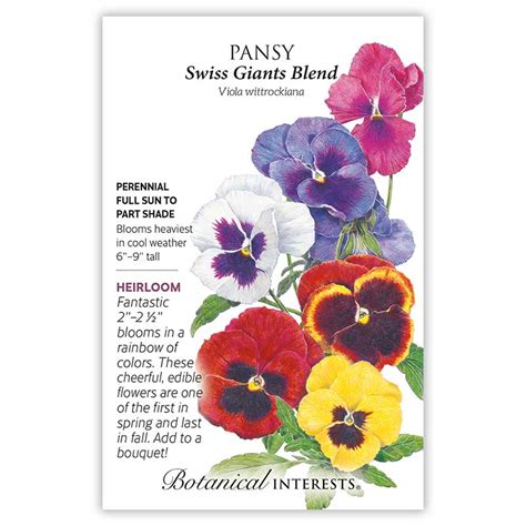 Swiss Giants Blend Pansy Seeds Flowers Botanical Interests