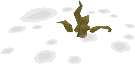 Filelimpwurt Plant Watered Stage 2png The Runescape Wiki