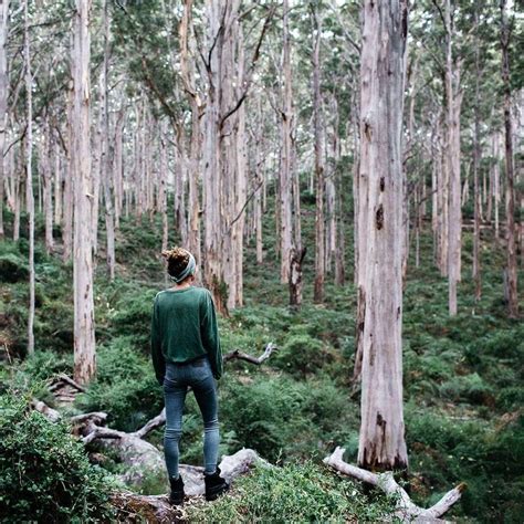 One Of The South West Western Australias Most Captivating Forests Can