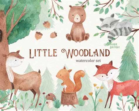 Woodland Animals Watercolor Clipart Animal Illustrations Creative