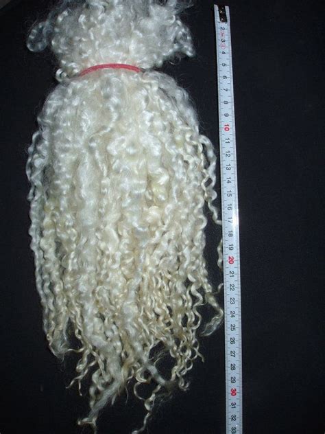 Long White Wensleydale Locks Single Curls Felting Wool Etsy Wool