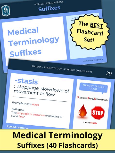 Medical Terminology Prefix Flashcards Examples List Definitions