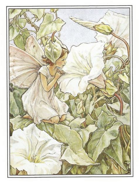 The White Bindweed Fairy By Cicely Mary Barker Flower Fairies Vintage