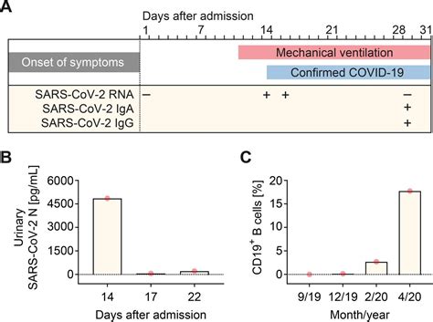 Correspondence On ‘second Covid 19 Infection In A Patient With