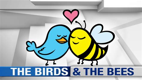 The Birds And The Bees Evil English