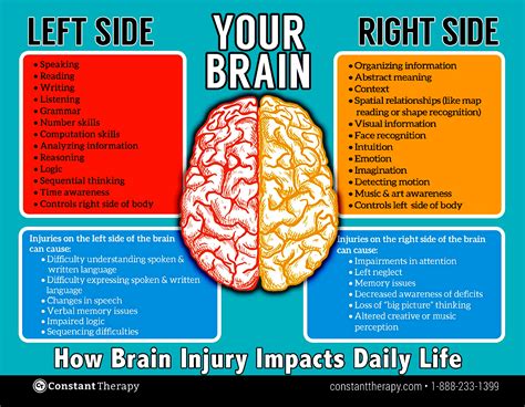 Infographic How Brain Injury Impacts Daily Life